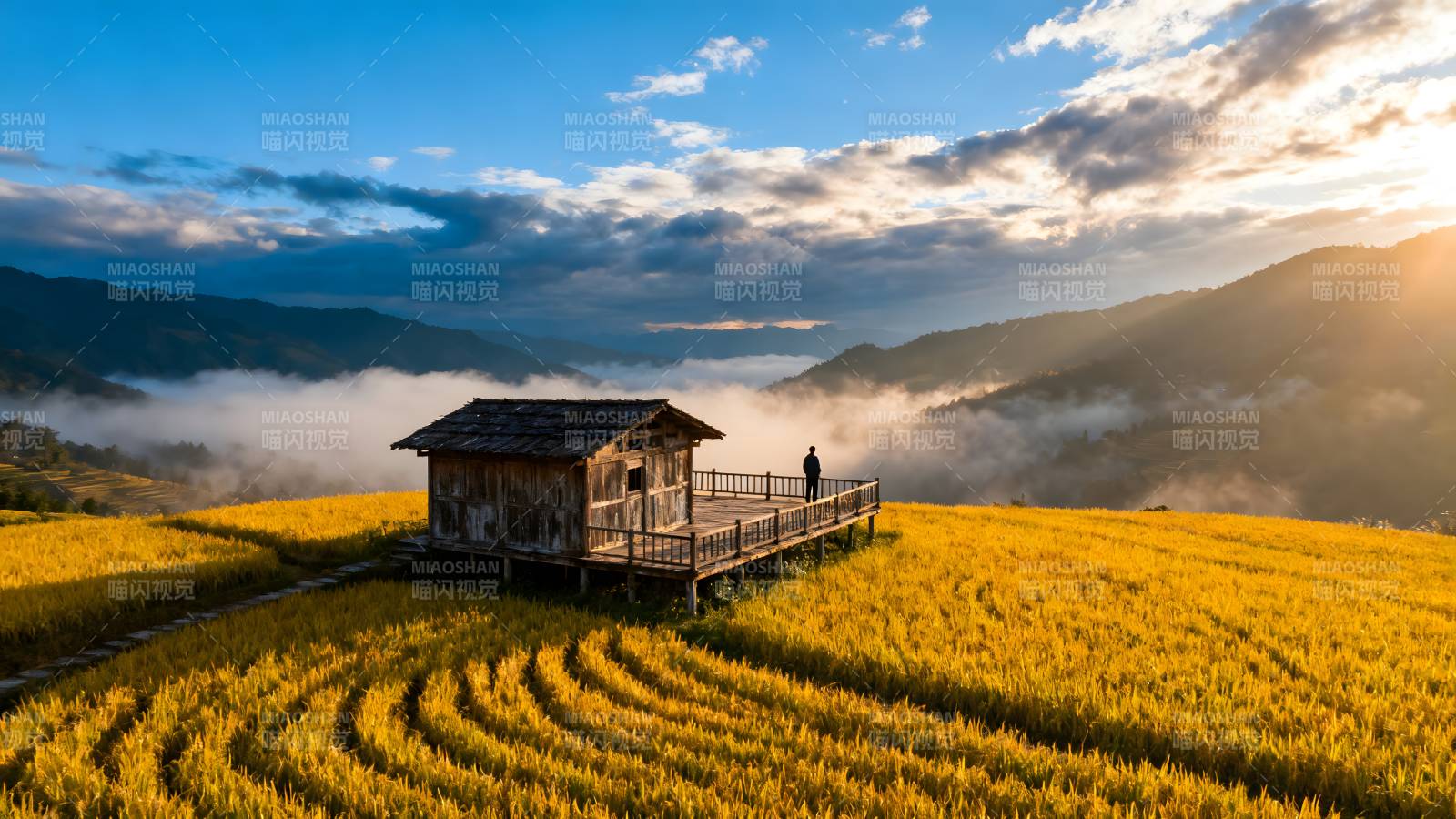 稻田小屋晨雾中图片