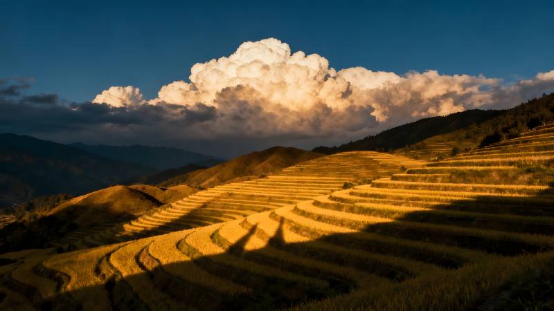 梯田云影图片