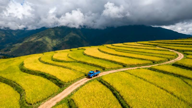 金田绕山行图片