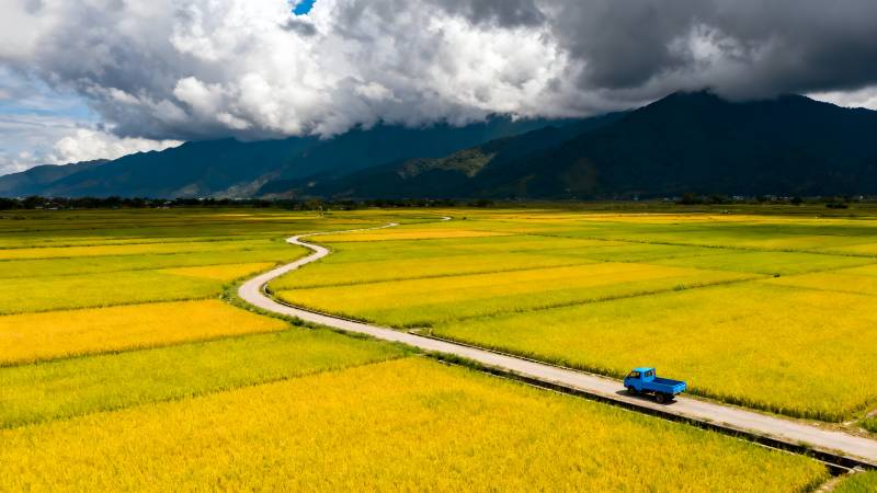 金田蜿蜒路车行图片