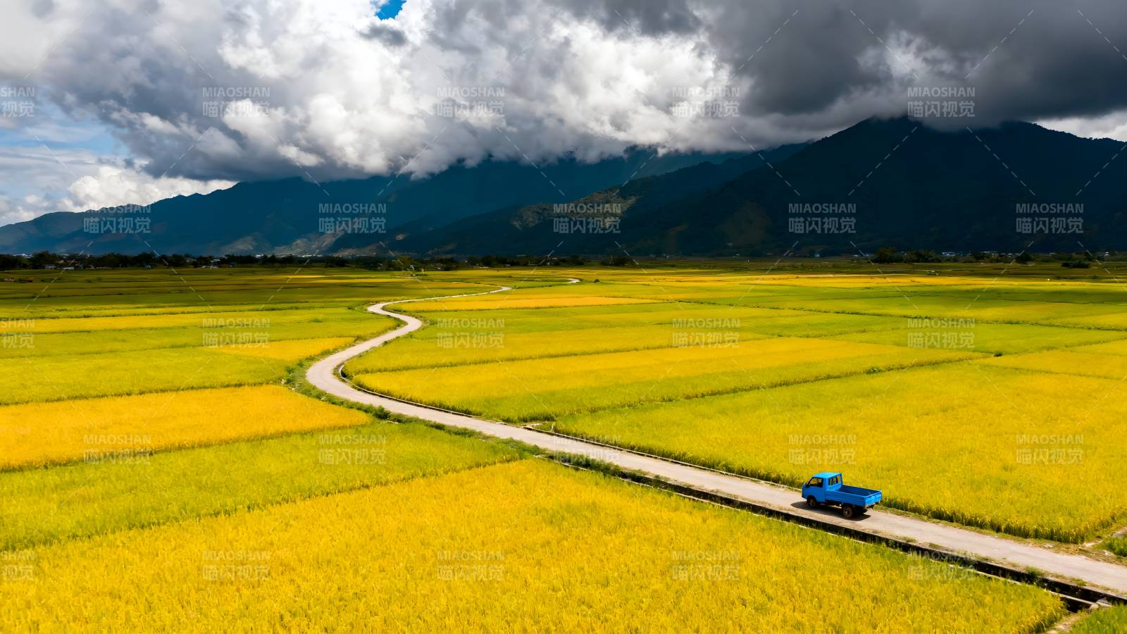 金田蜿蜒路车行图片