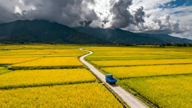金田小路行山影图片