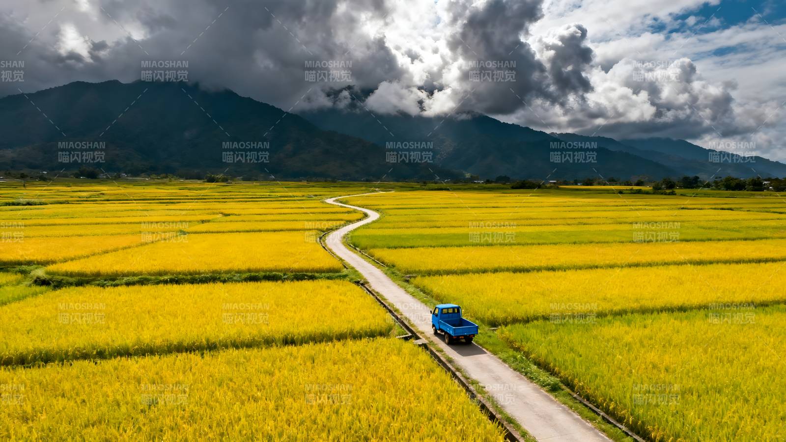 金田小路行山影图片