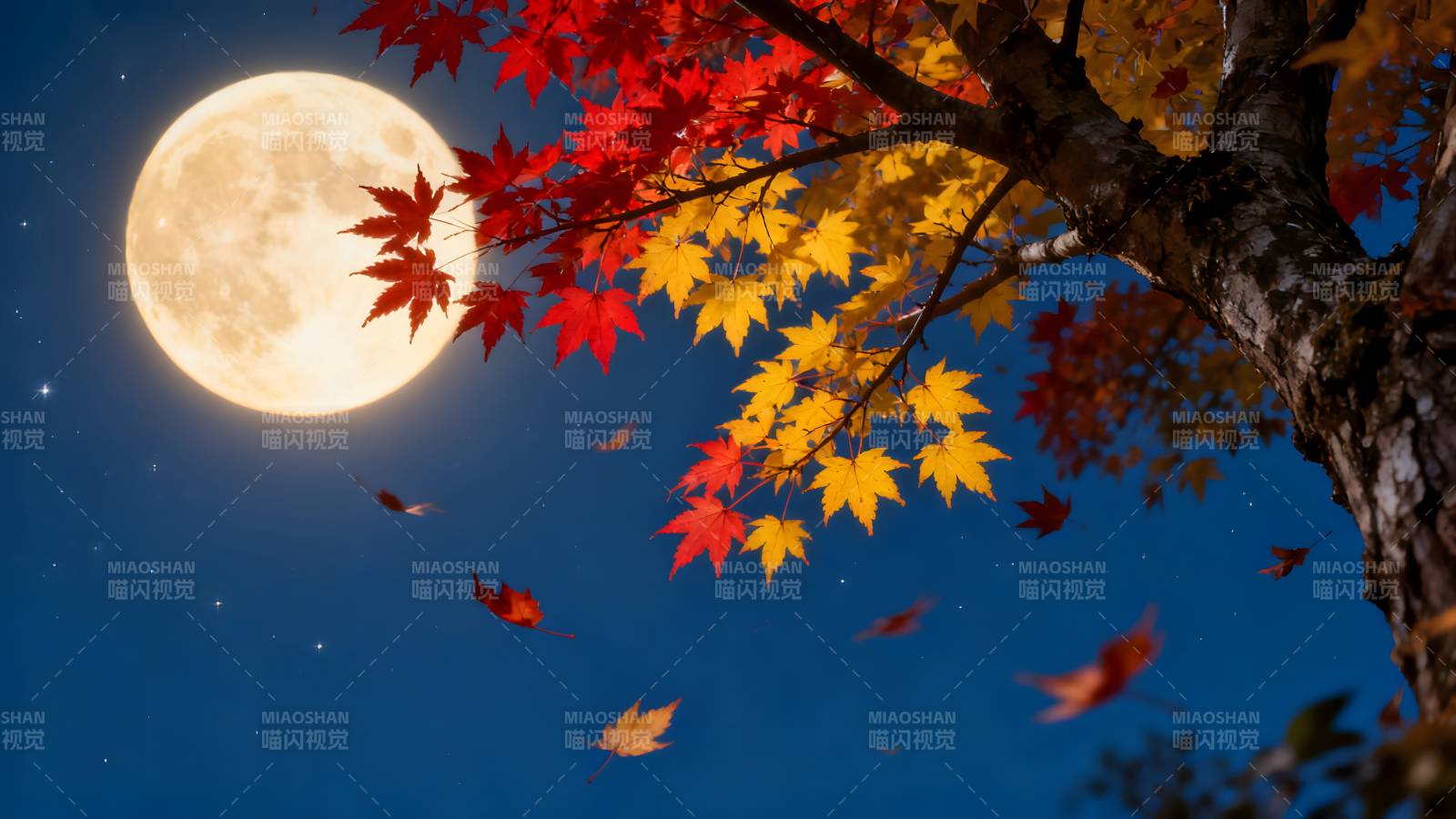 秋夜月色枫叶飘图片