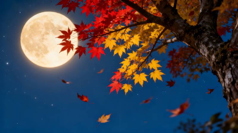秋夜月色枫叶飘图片