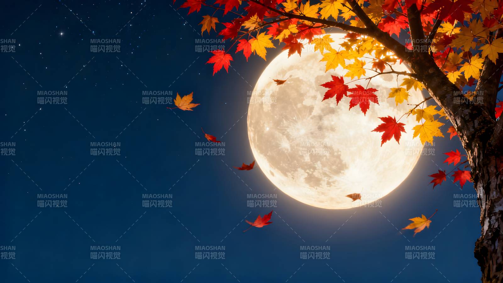 秋夜月影枫叶飘图片