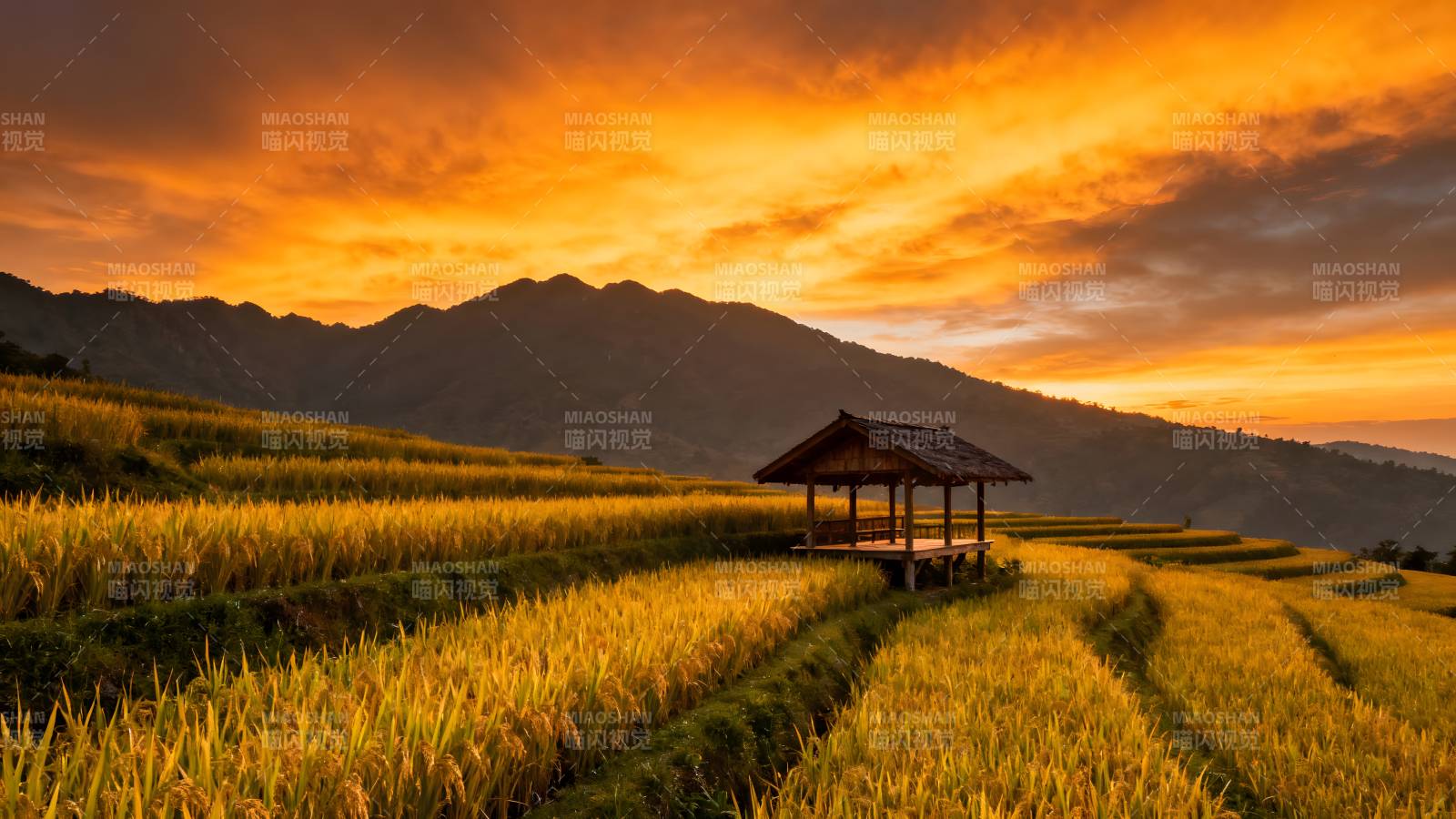 金秋梯田日落图片