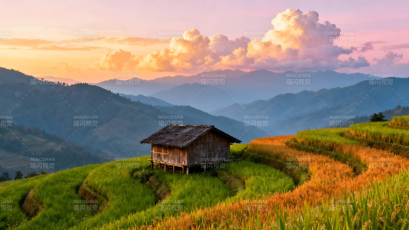 梯田晨曦小屋图片