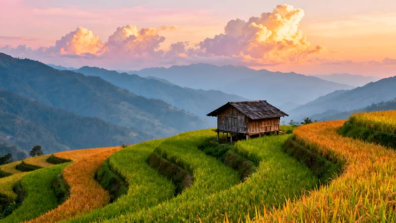 梯田晨曦小屋图片