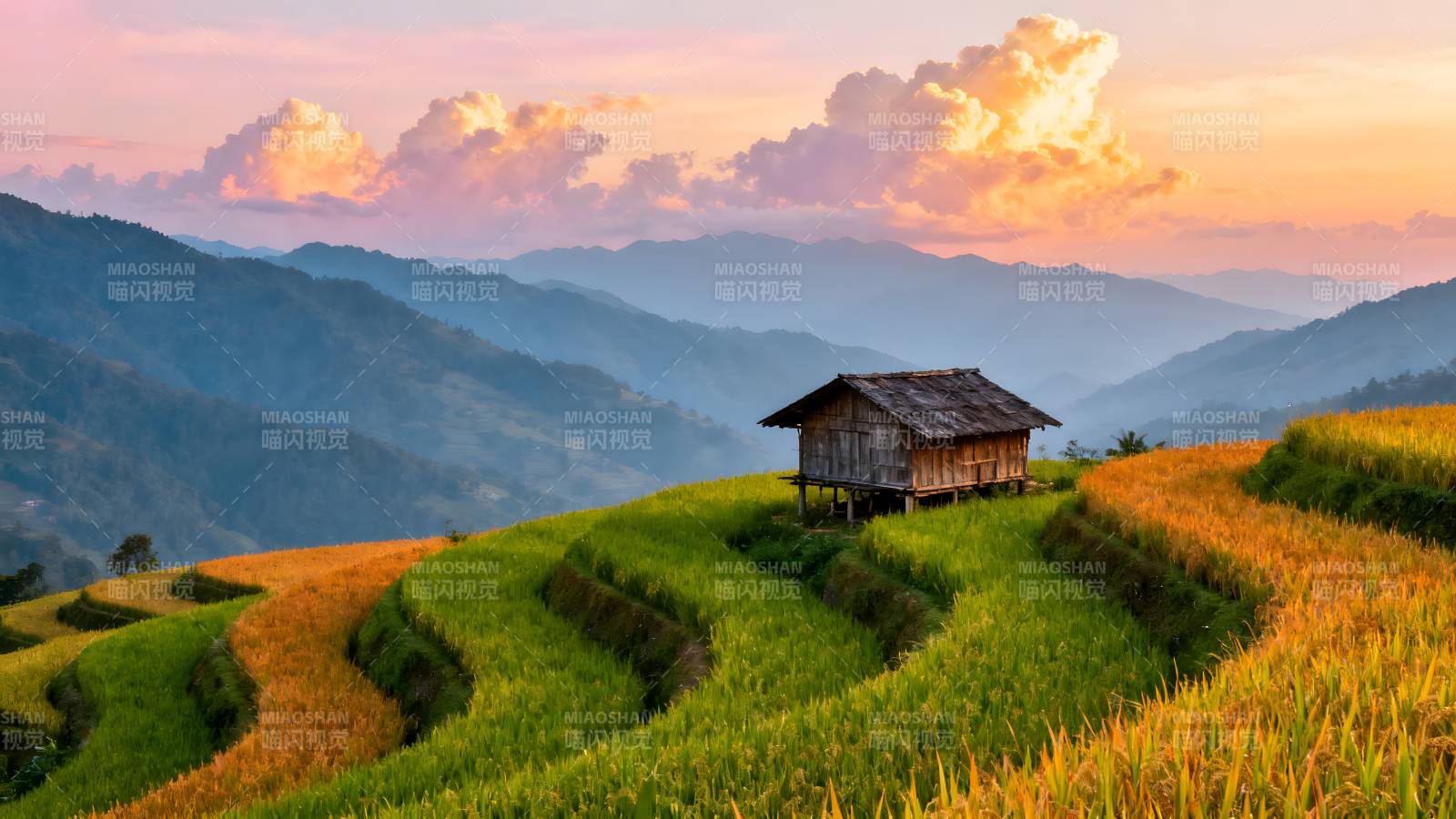 梯田晨曦小屋图片