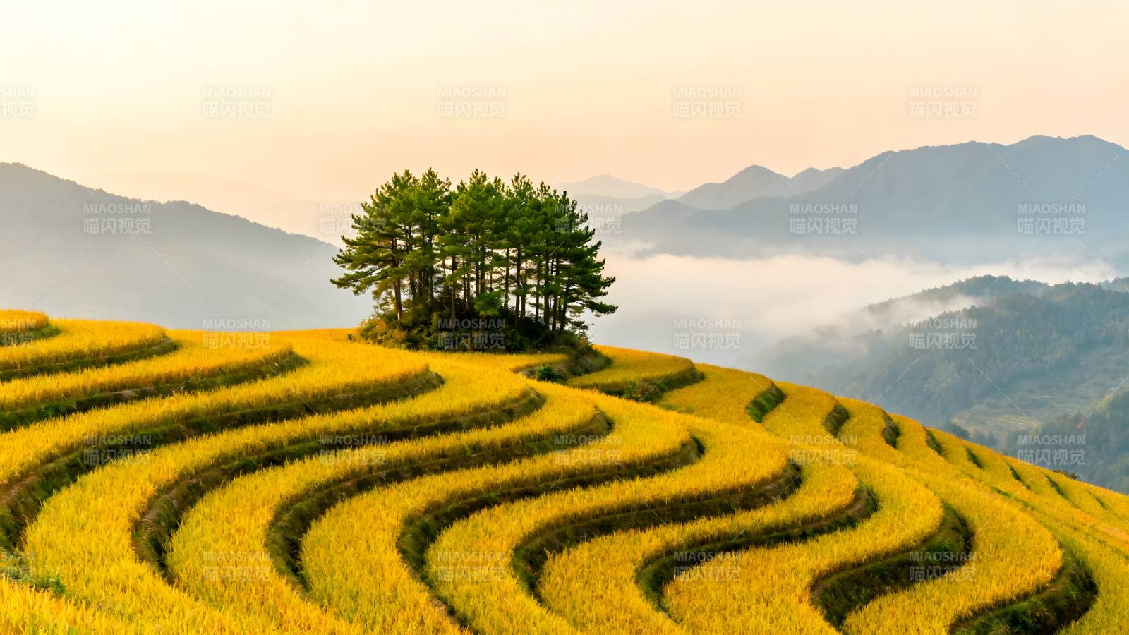 梯田晨雾山景图片