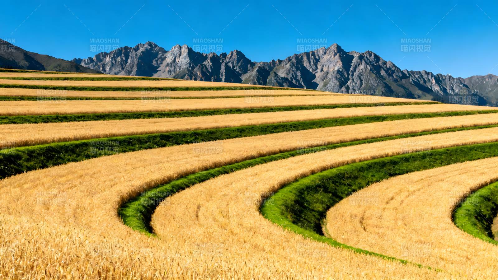 梯田与远山图片