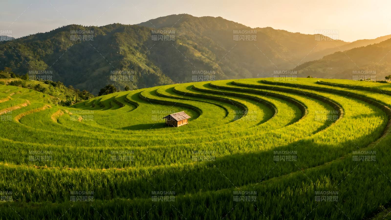 梯田晨光图片