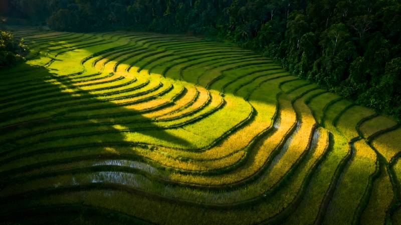 梯田光影图片