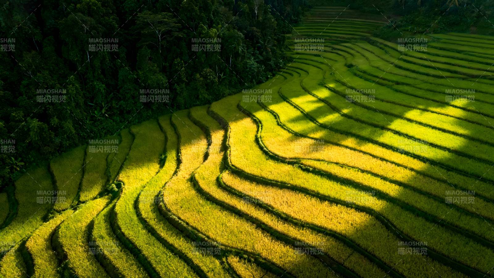 梯田光影图片