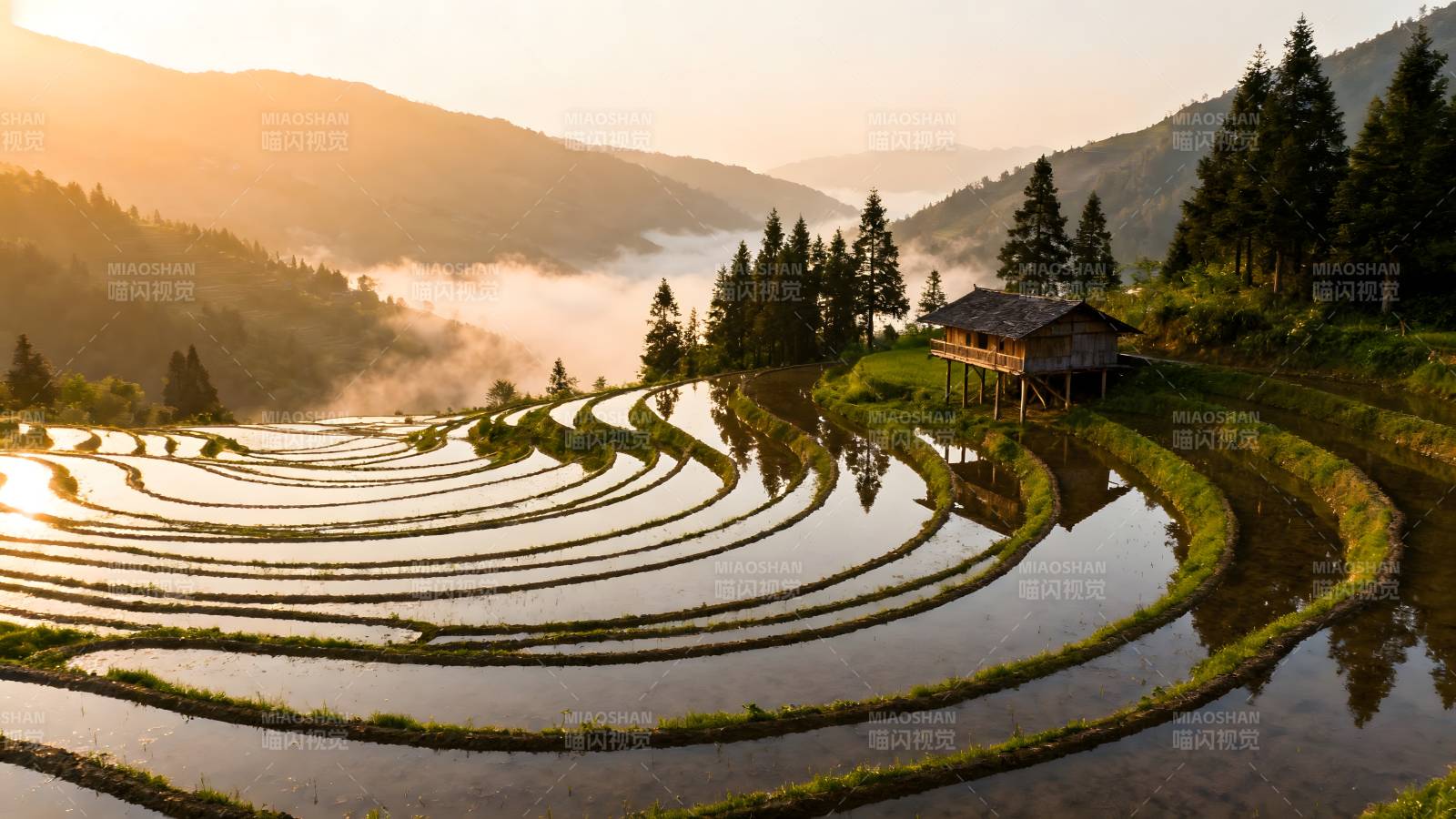 梯田晨曦 山雾缭绕图片
