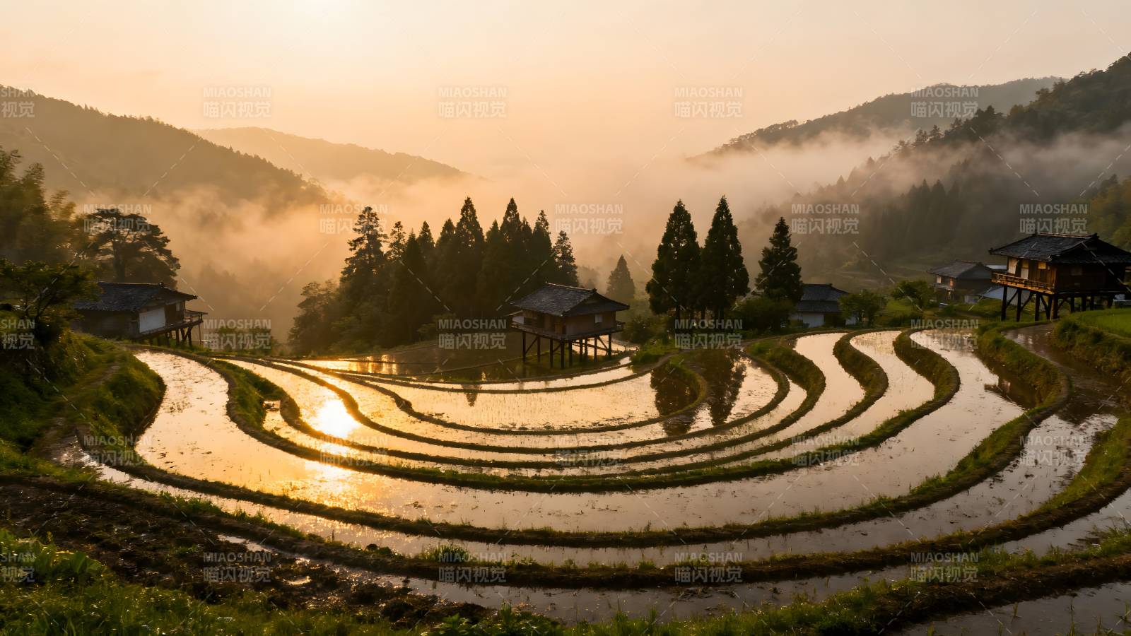 晨雾梯田风光图片
