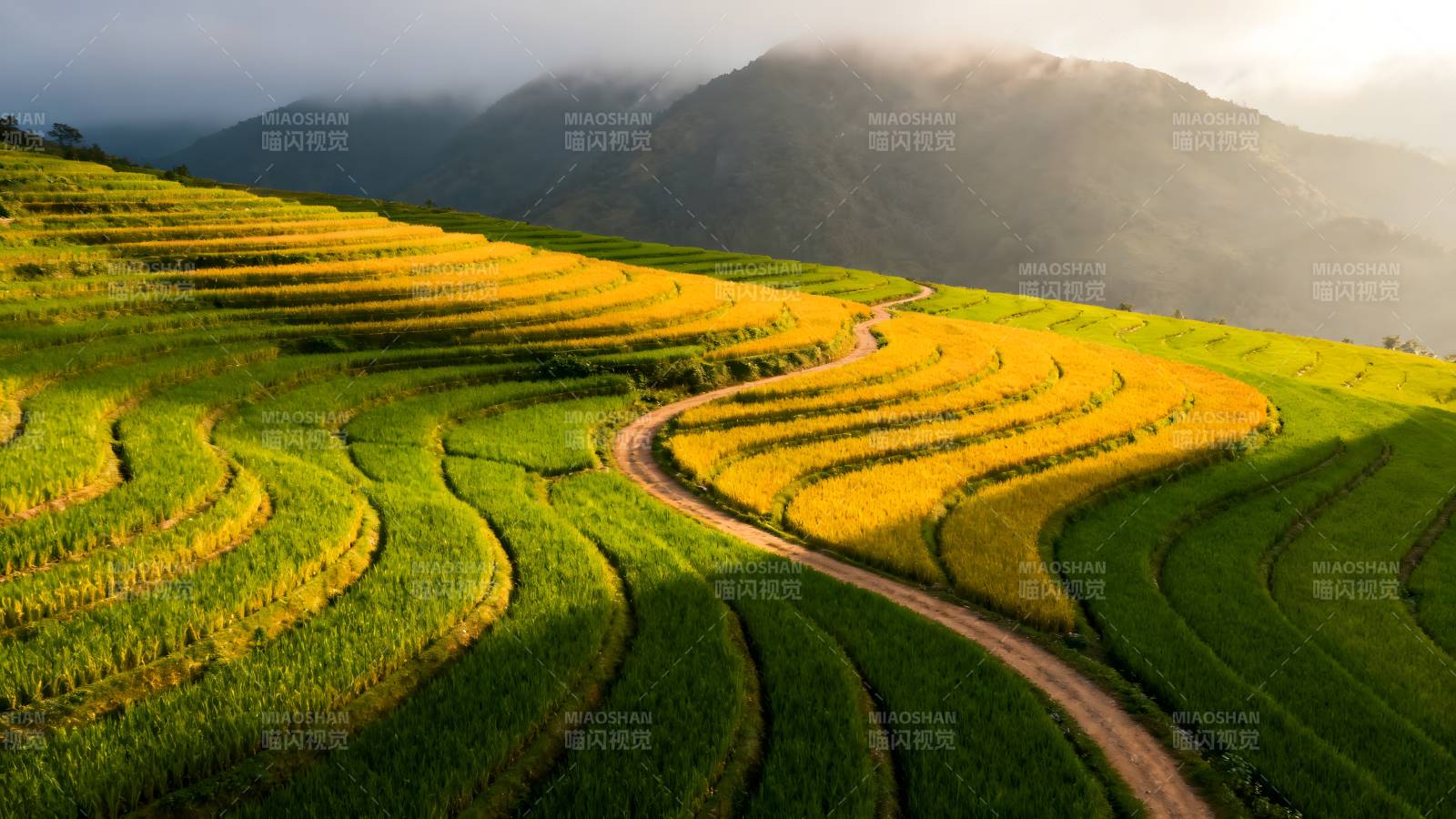 梯田晨曦图片