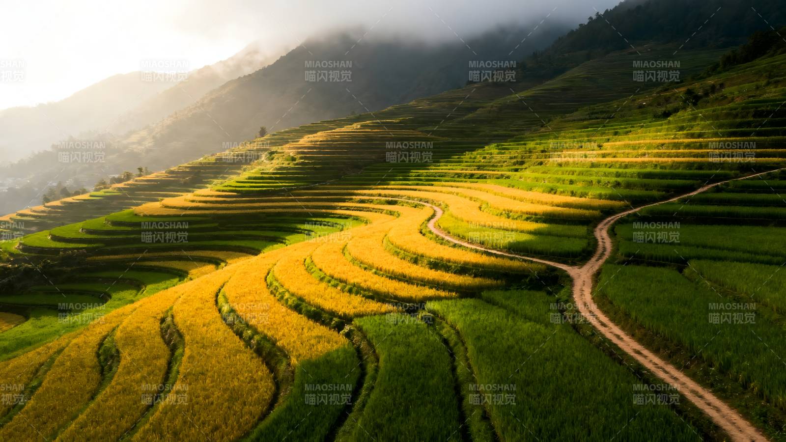 梯田晨曦图片