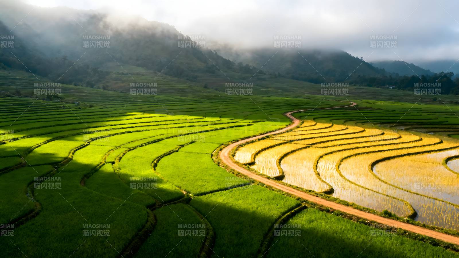 梯田晨雾图片