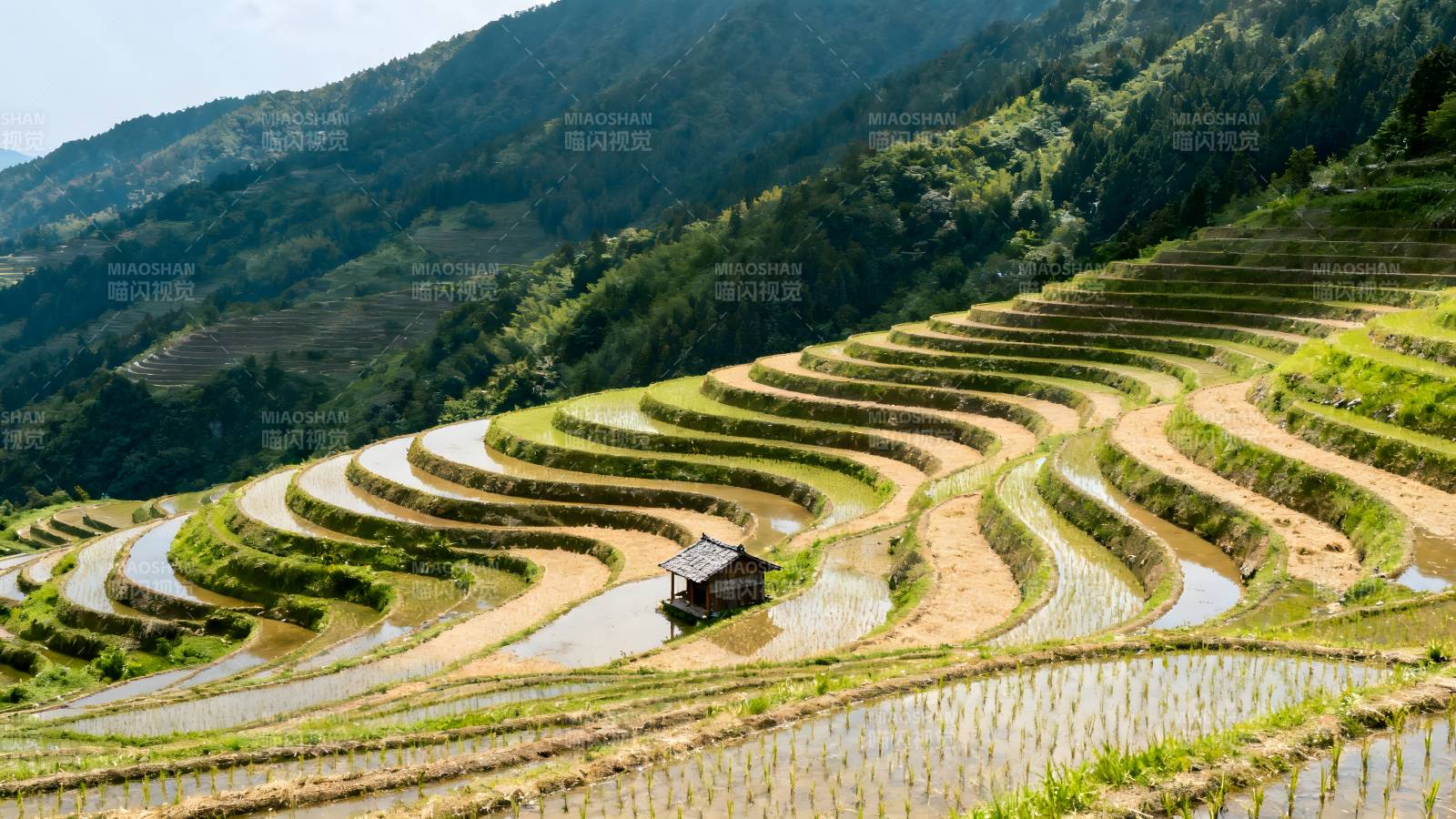 梯田风光图片