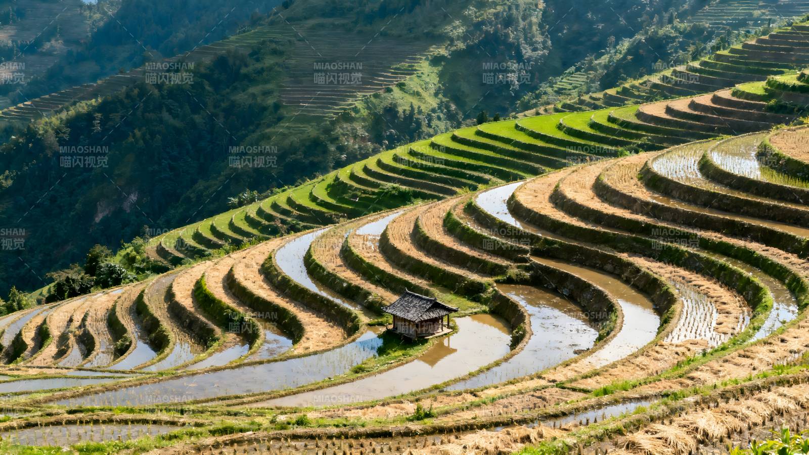 梯田风光图片