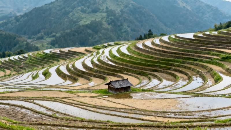 梯田风光图片