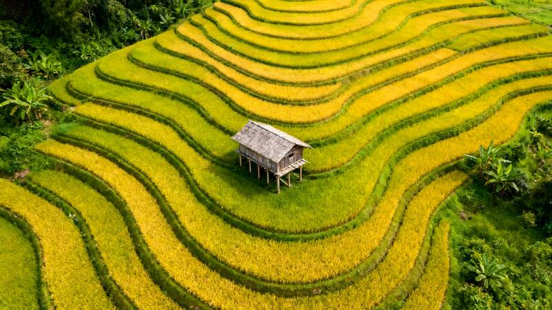 梯田上的小屋图片