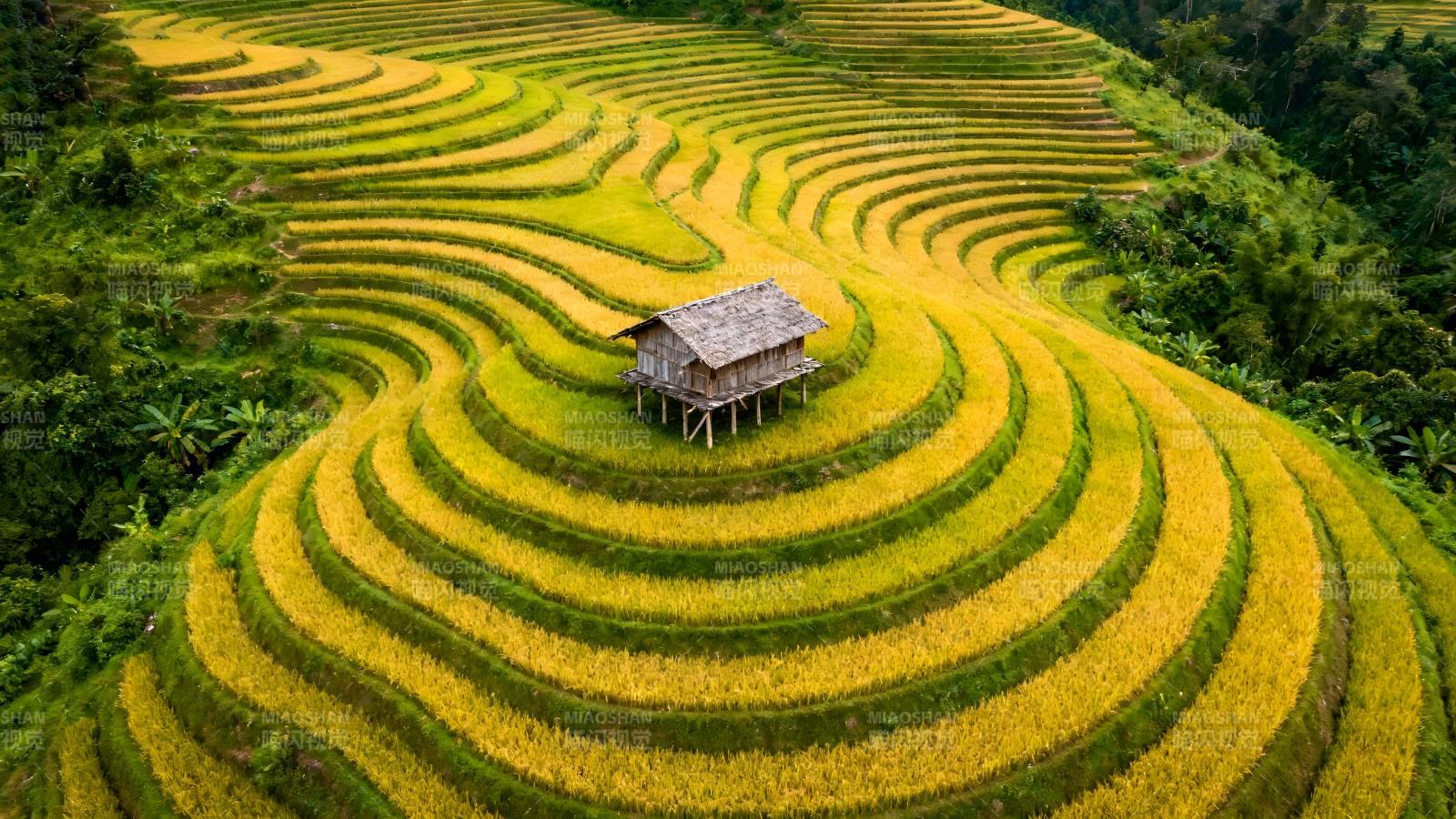 梯田上的小屋图片