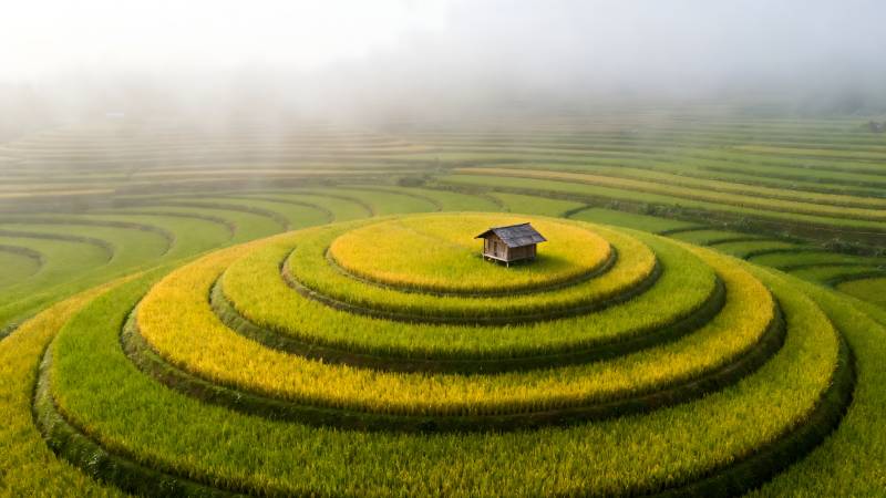 梯田上的小屋图片