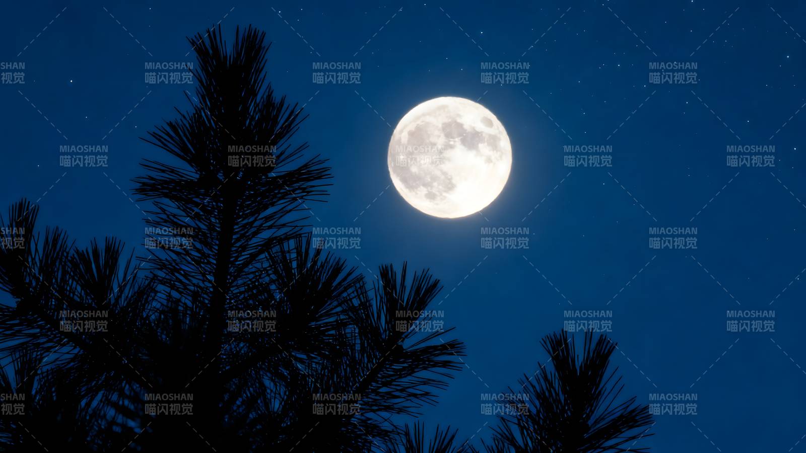 明月松间照图片