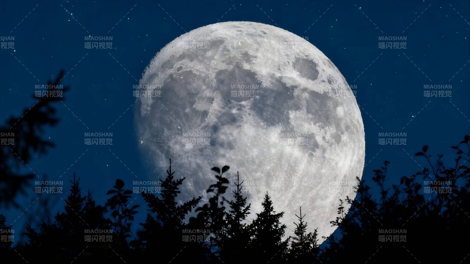 明月高悬夜空图片