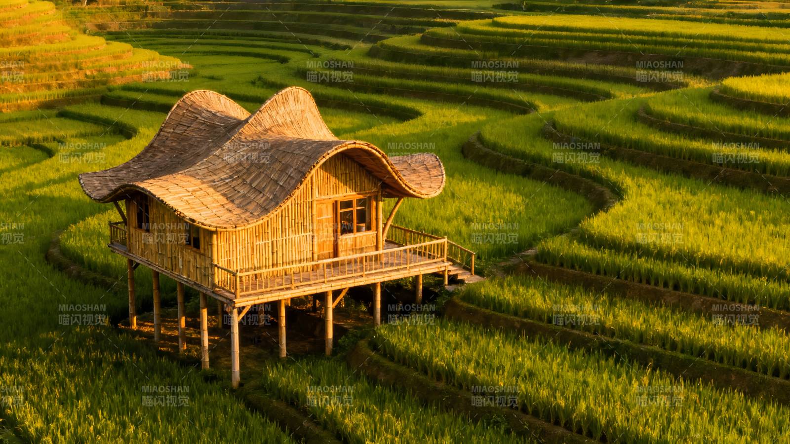 梯田上的木屋图片