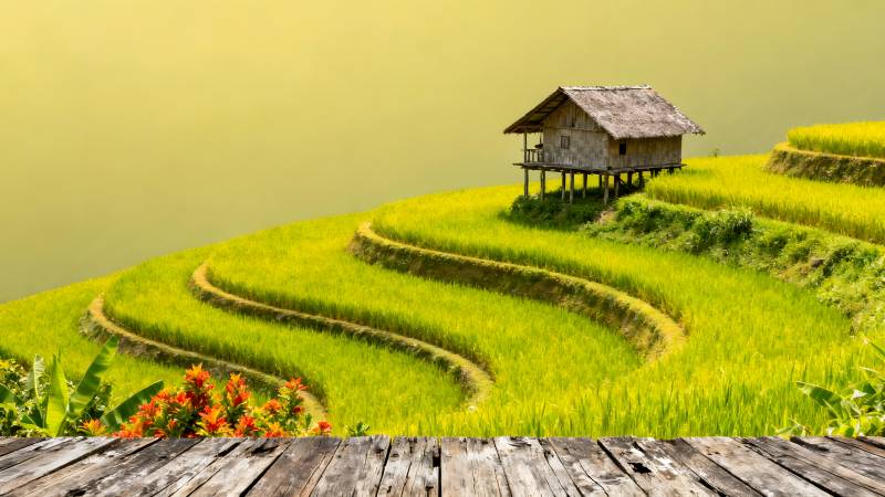 梯田小屋风光图片