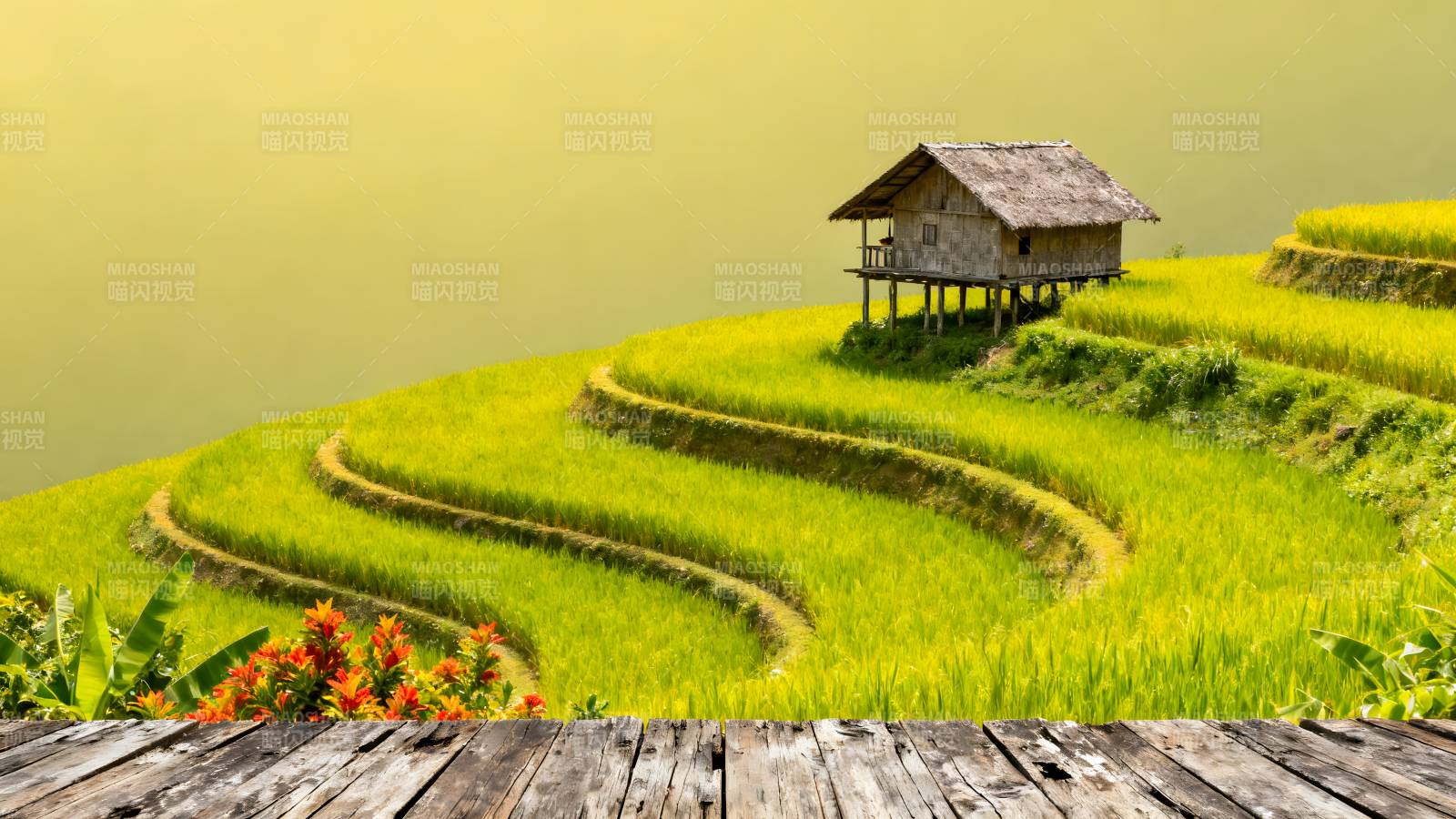 梯田小屋风光图片