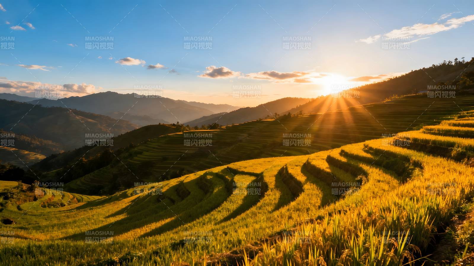 梯田日出美景图片