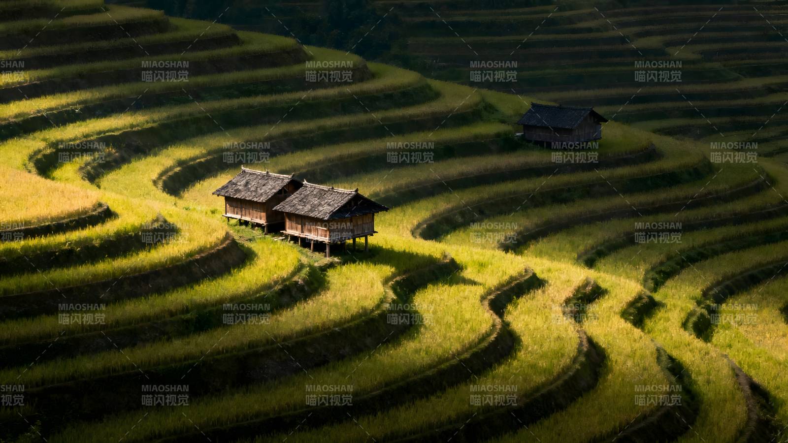 梯田上的小屋图片