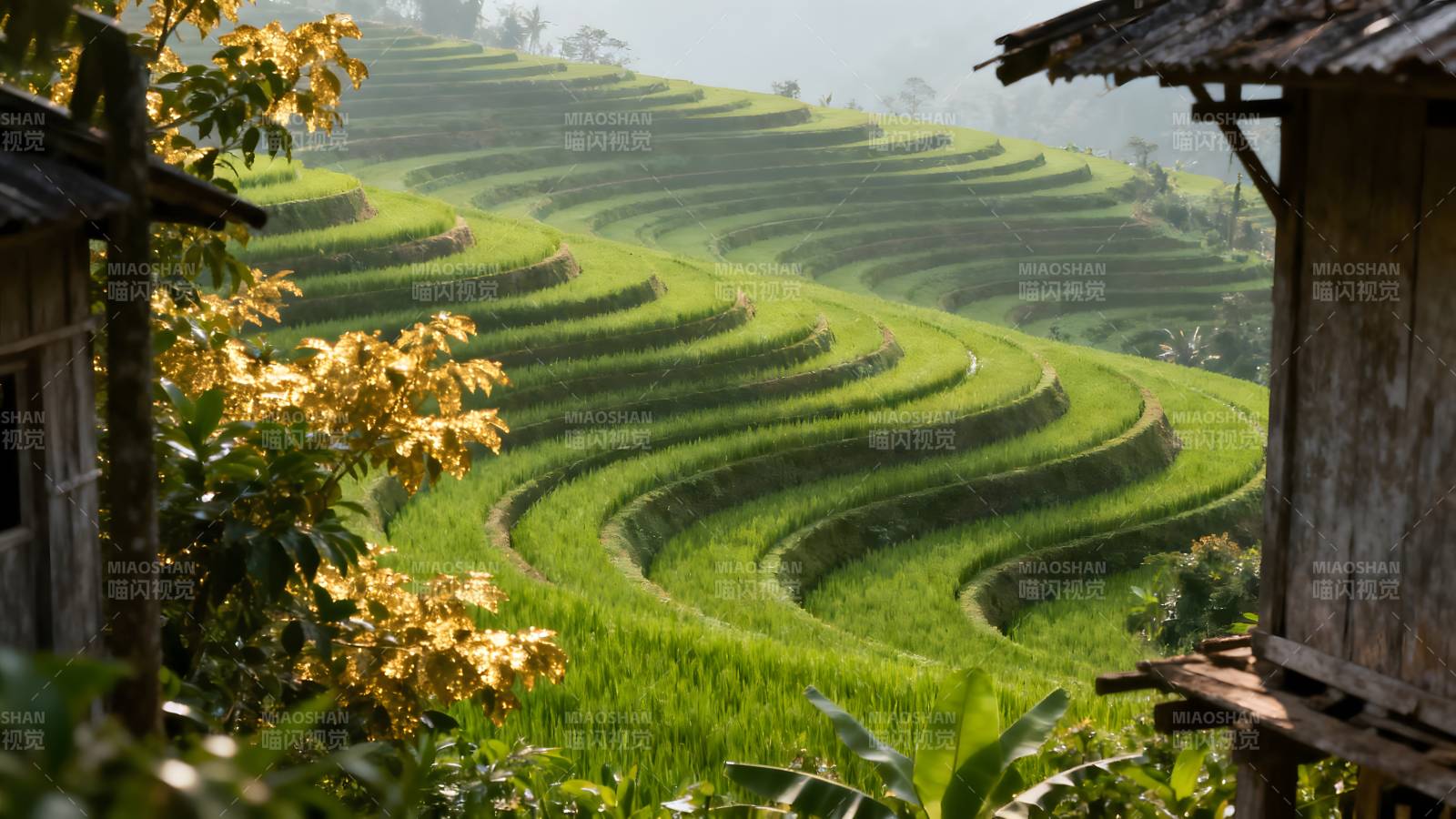 梯田风光图片