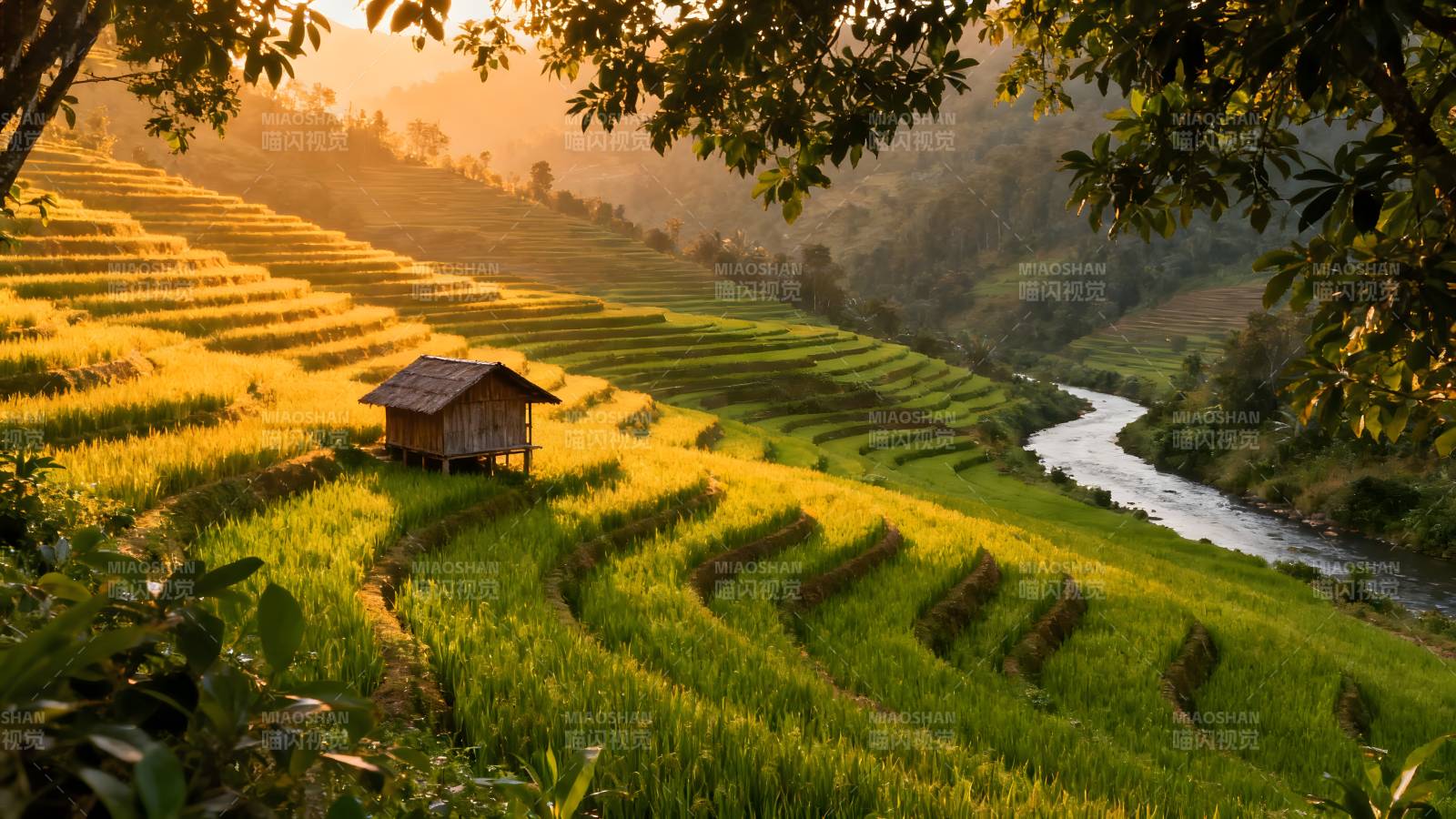 梯田晨曦 小屋静谧图片