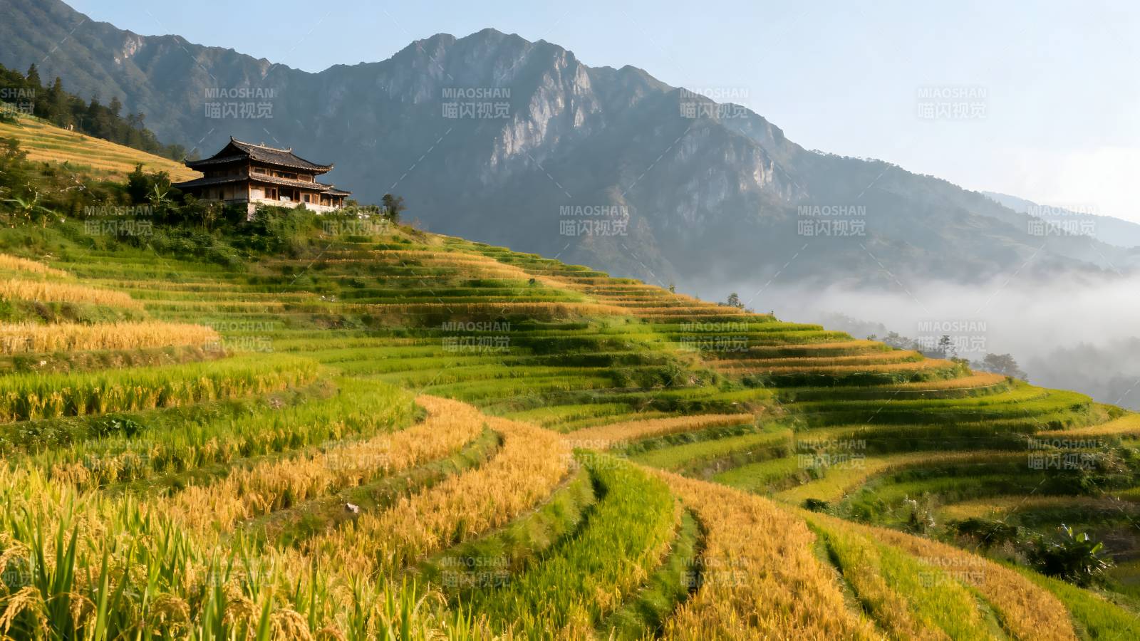 梯田风光 山居晨雾图片