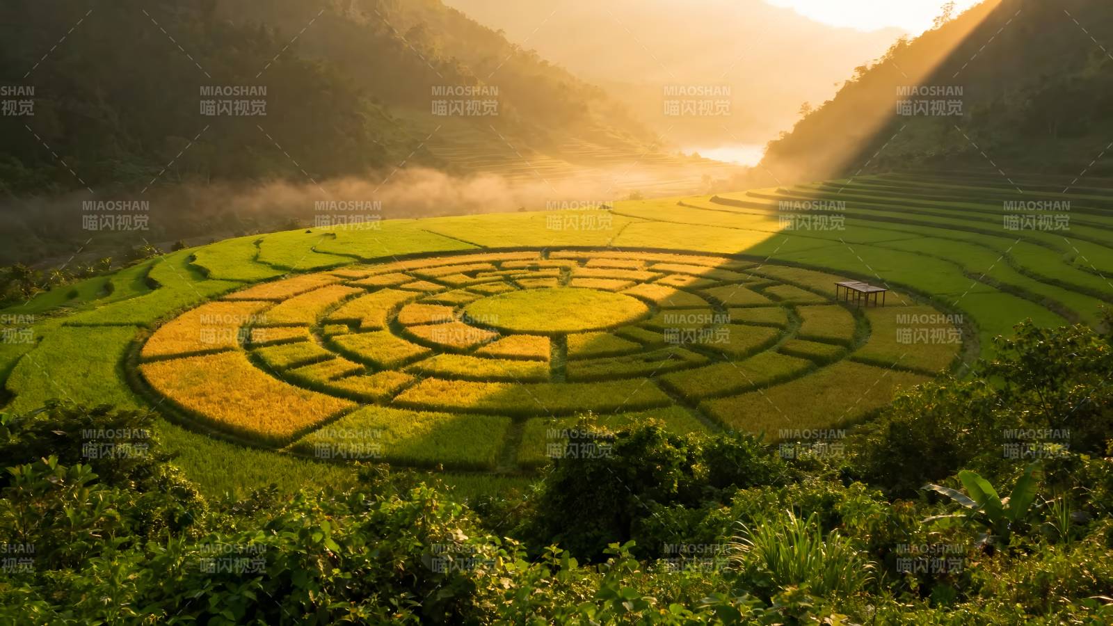 梯田晨光画卷图片