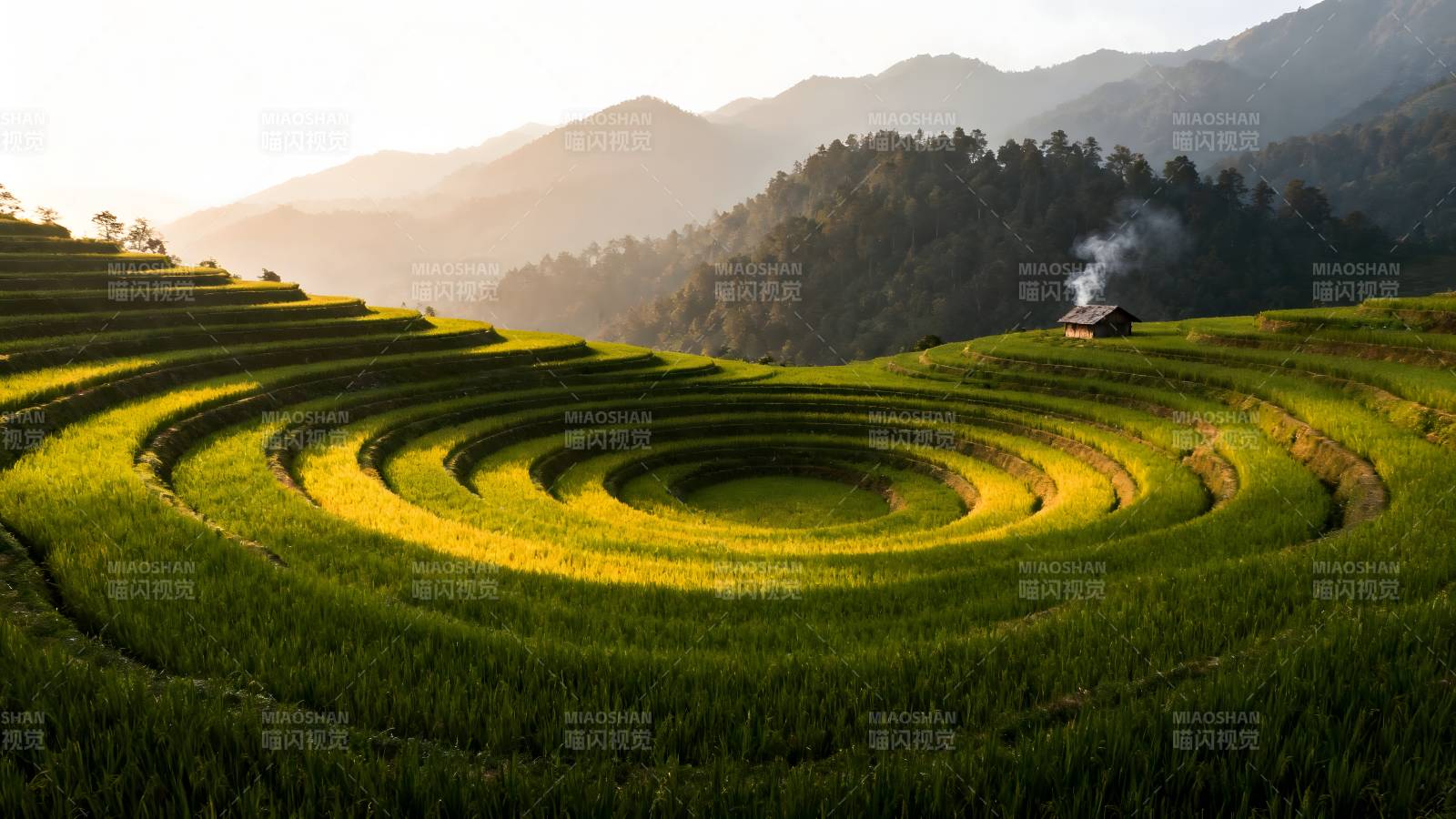 梯田晨曦图片