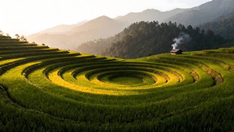 梯田晨曦图片