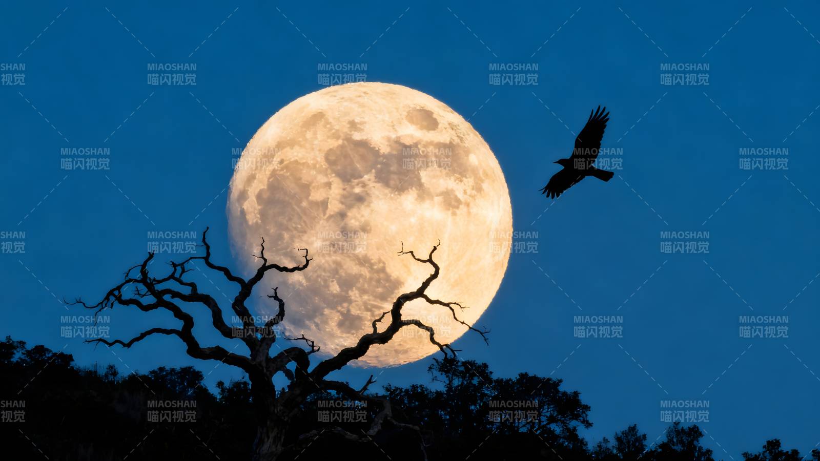 月夜飞鸟剪影图片