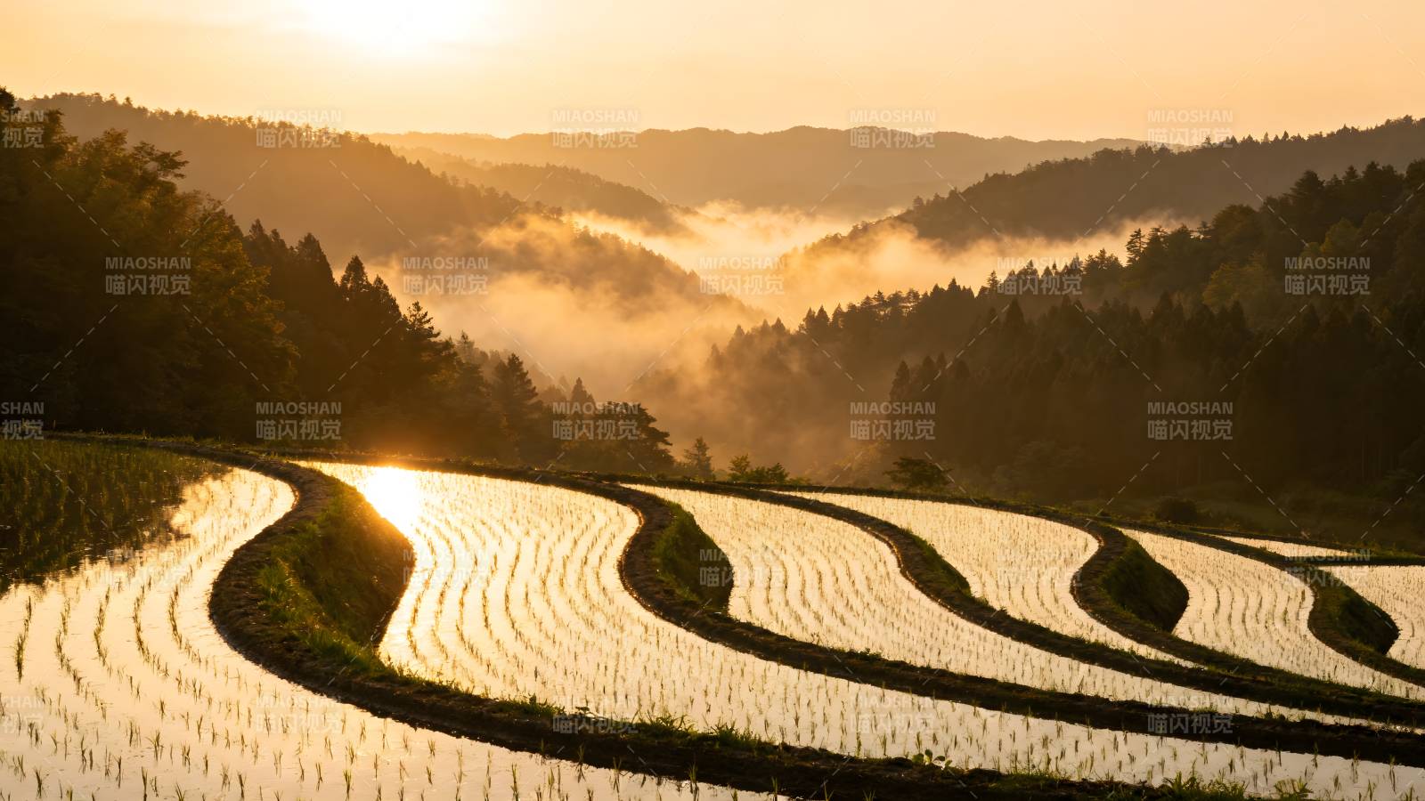 晨曦梯田美景图片