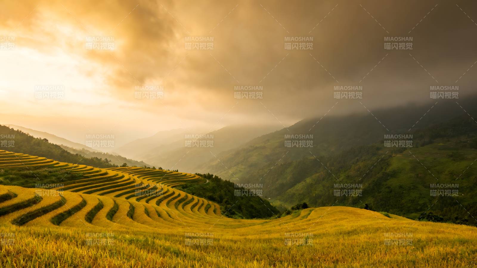 梯田晨曦图片
