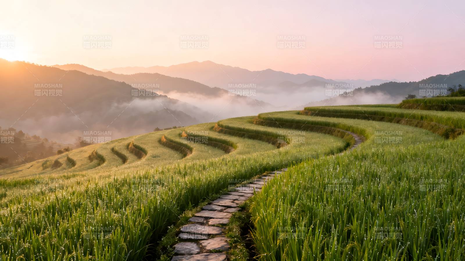 梯田晨曦美景图片