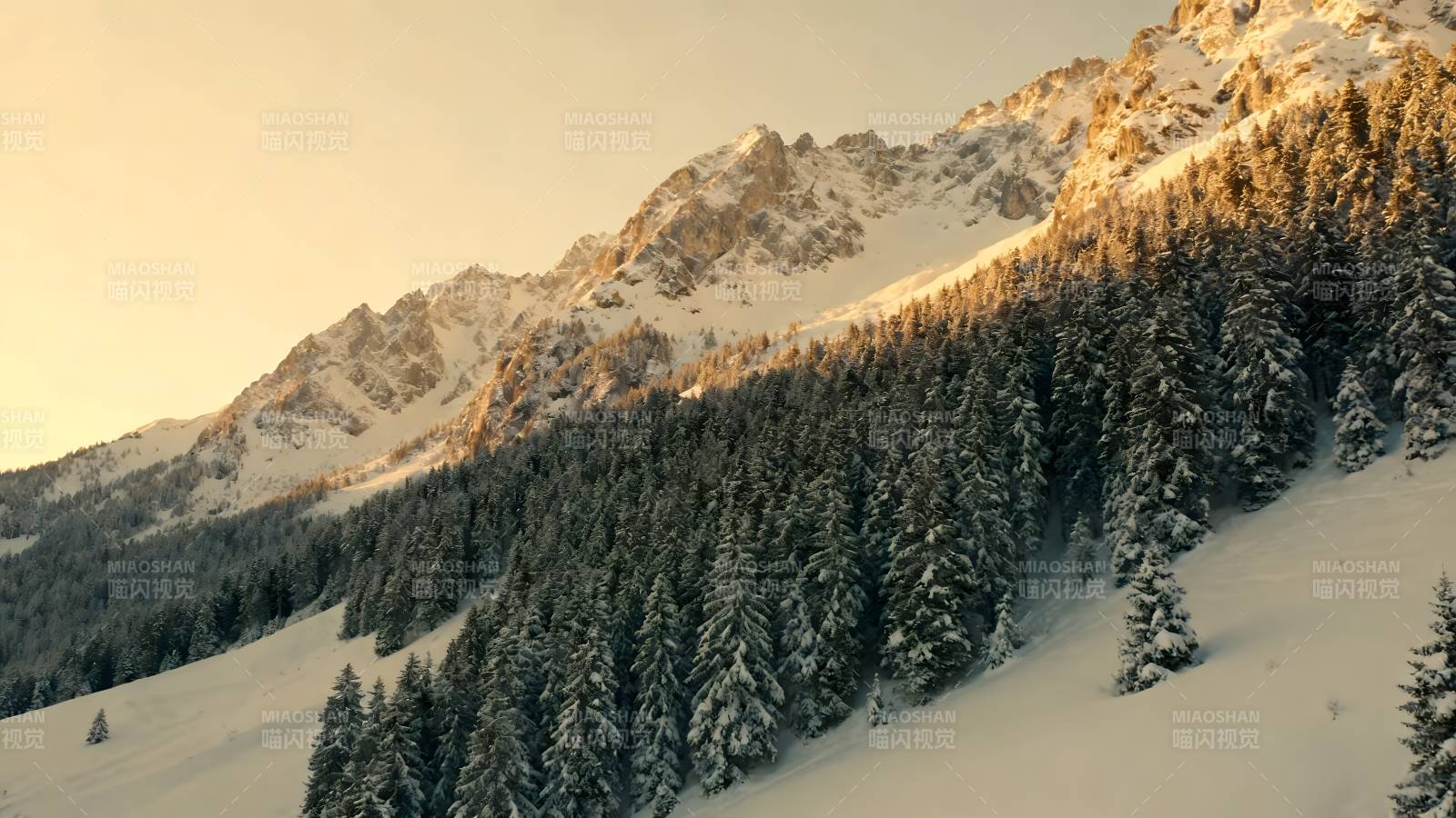 雪峰林海晨光图片