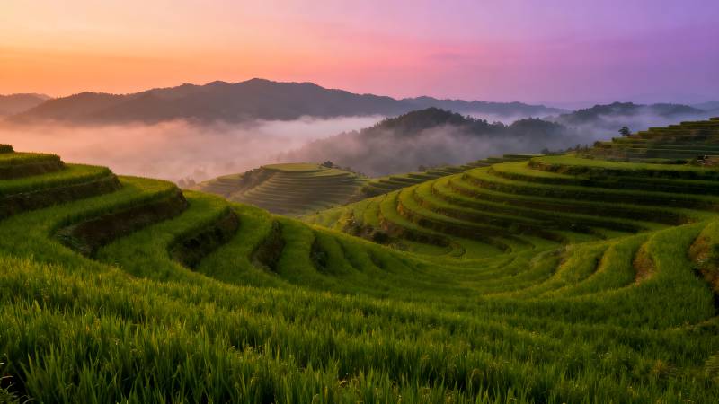 梯田晨曦图片