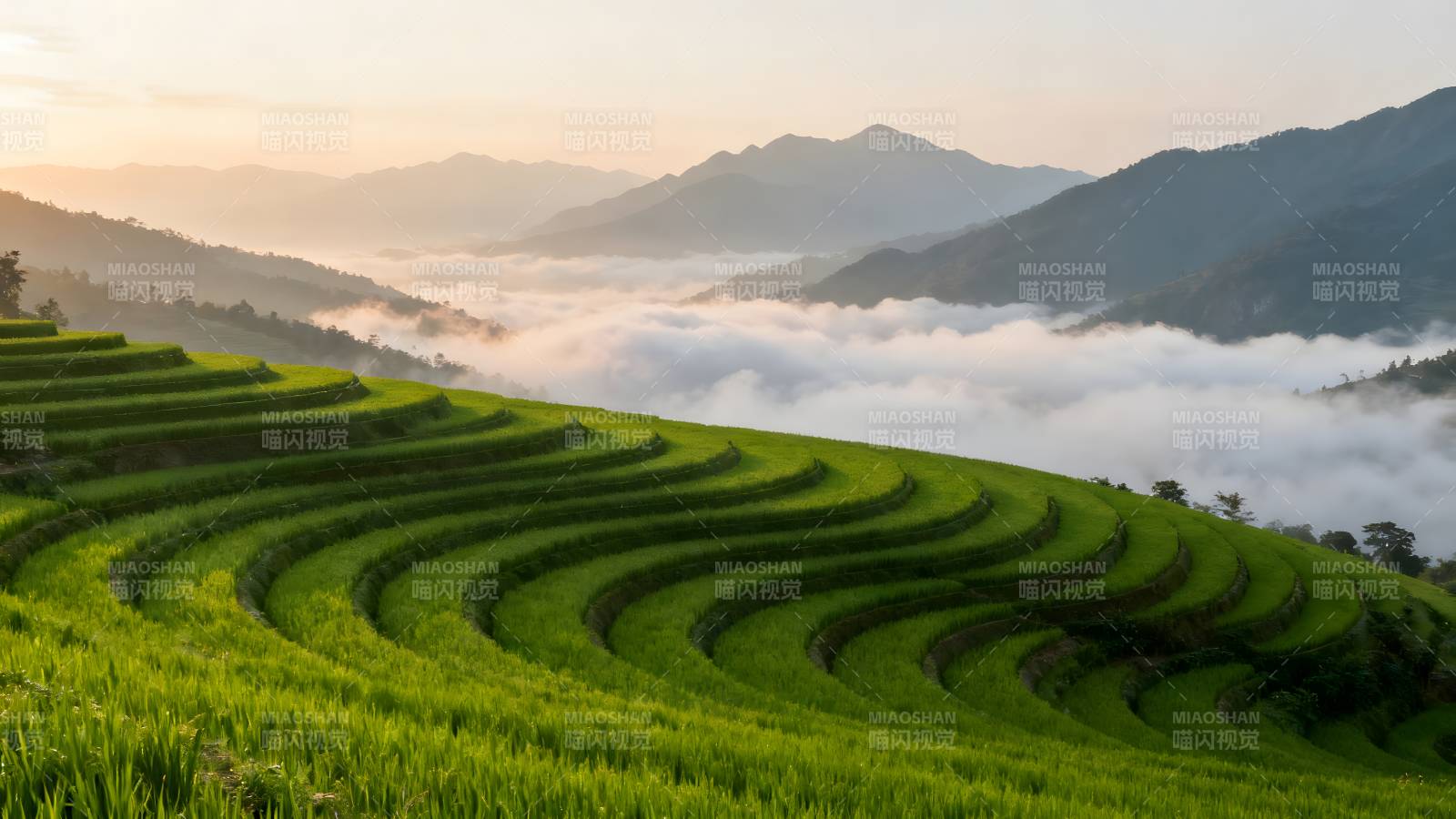 梯田晨雾山景图片